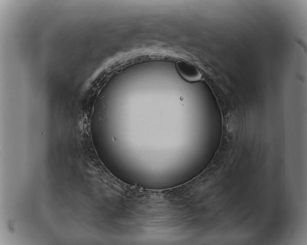 X0000103401495200809191509