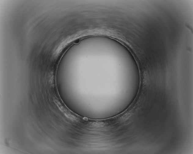 X0000103401499200809191509