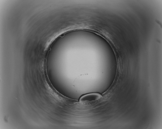 X0000103401500200809191509