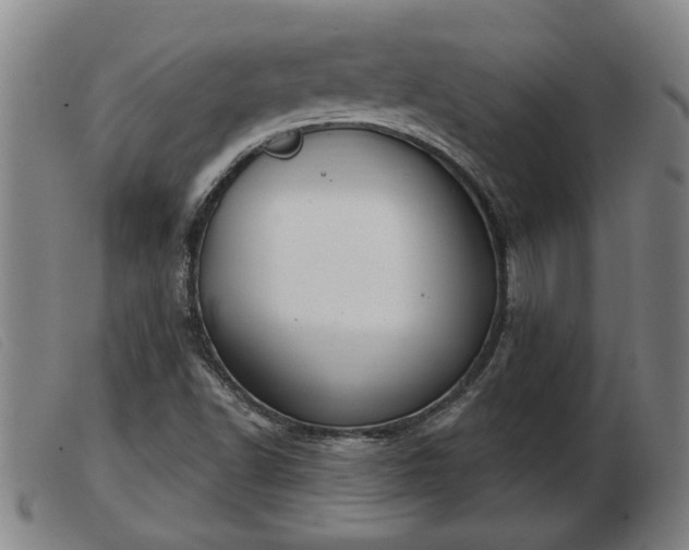 X0000103401502200809191509