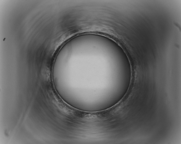 X0000103401505200809191509