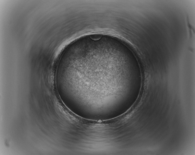 X0000103401506200809191509