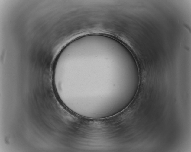 X0000103401508200809191509