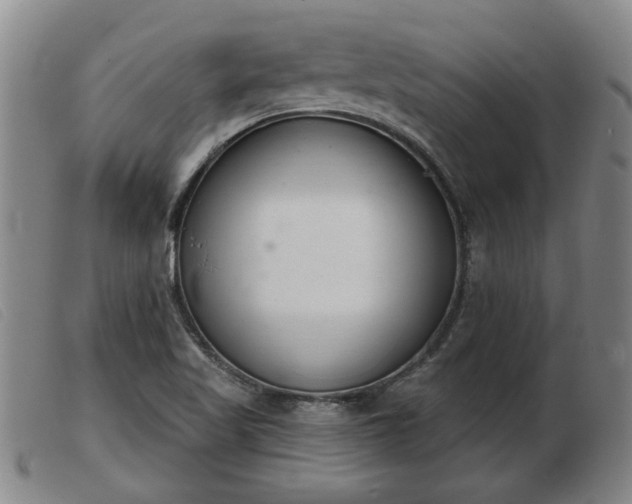 X0000103401509200809191509