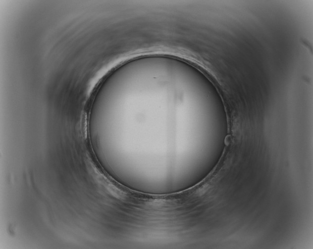 X0000103401510200809191509