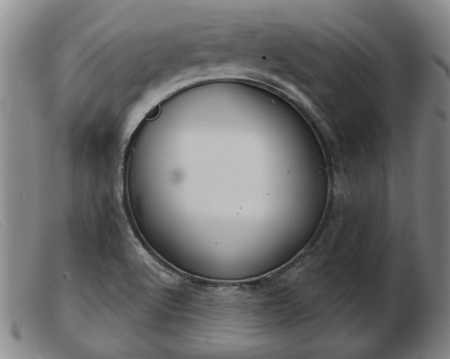 X0000103401512200809191509