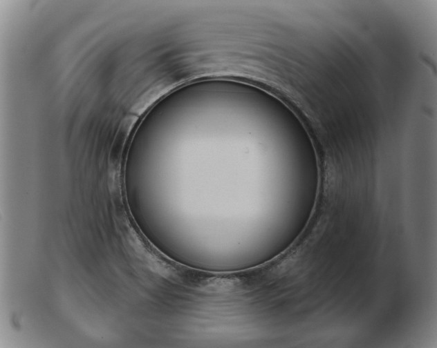 X0000103401513200809191509