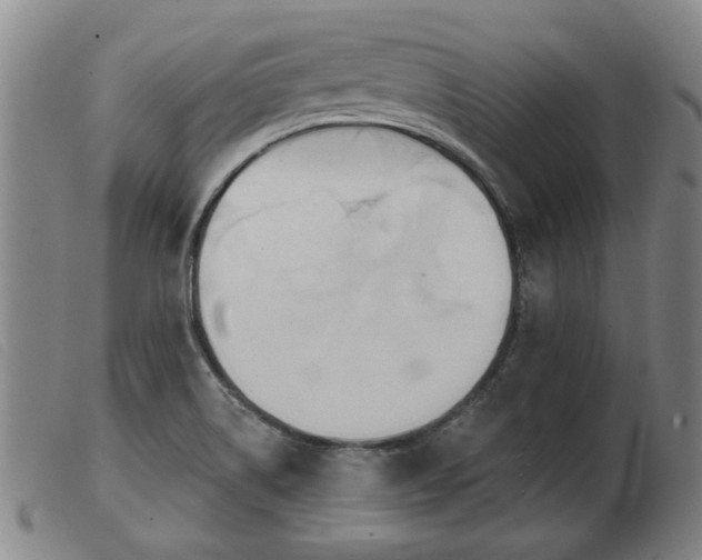 X0000103401514200809191509