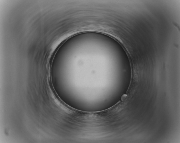 X0000103401515200809191509