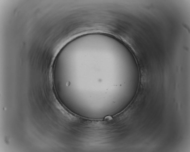 X0000103401516200809191509