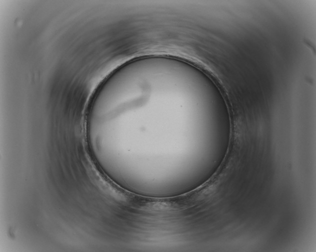 X0000103401517200809191509