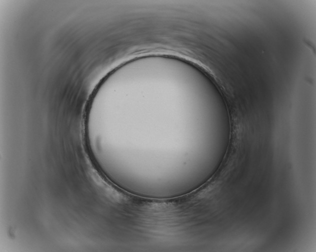 X0000103401518200809191509