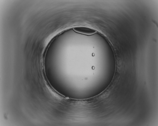 X0000103401519200809191509