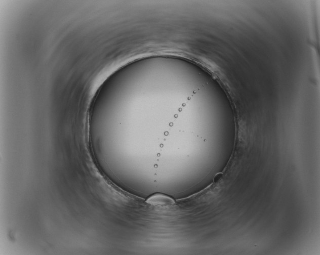 X0000103401520200809191509