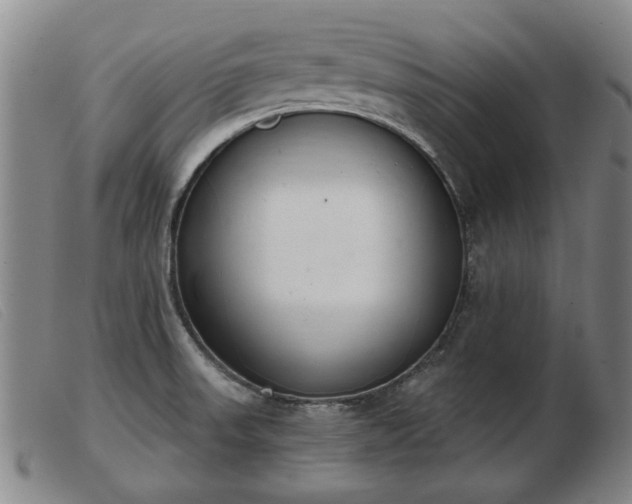 X0000103401523200809191509