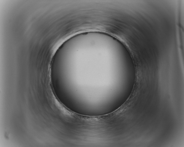 X0000103401524200809191509