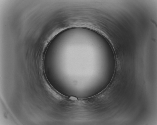 X0000103401525200809191509