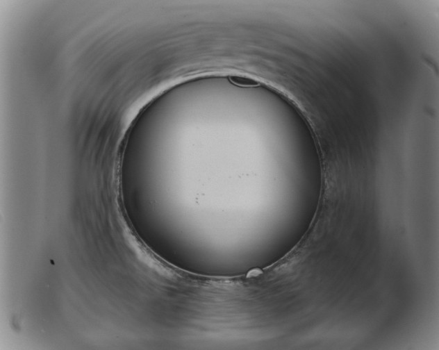 X0000103401526200809191509