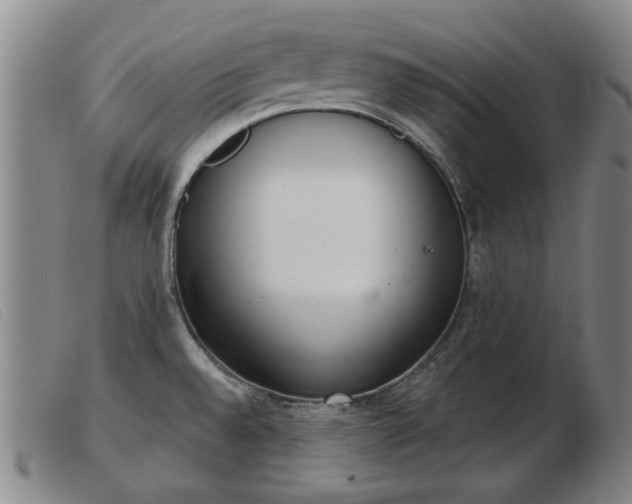 X0000103401528200809191509