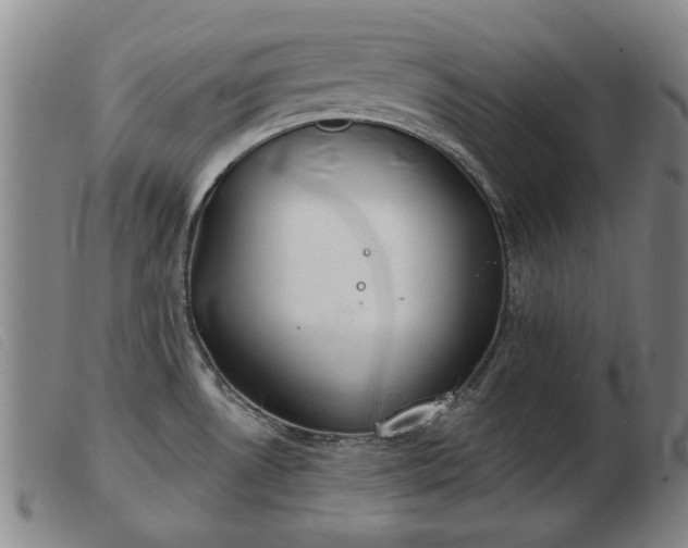 X0000103401530200809191509