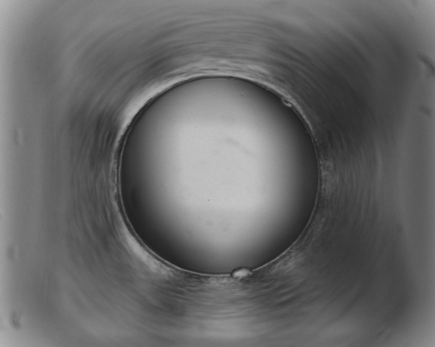 X0000103401531200809191509