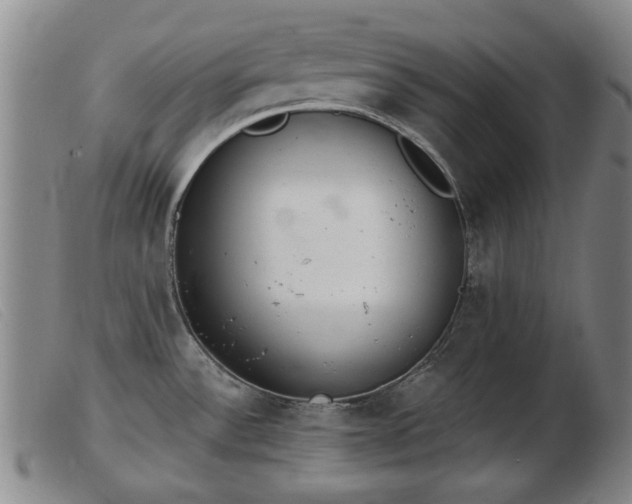 X0000103401532200809191509