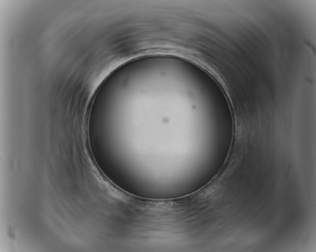 X0000103401533200809191509