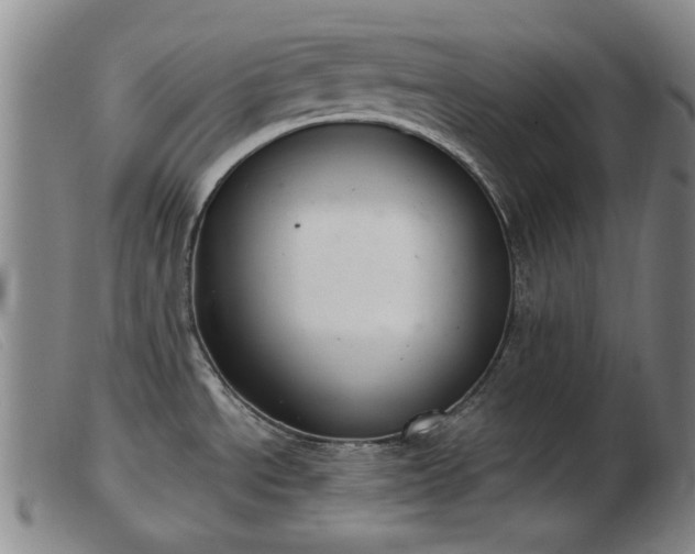 X0000103401534200809191509