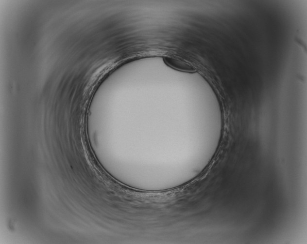 X0000103400001200809261630