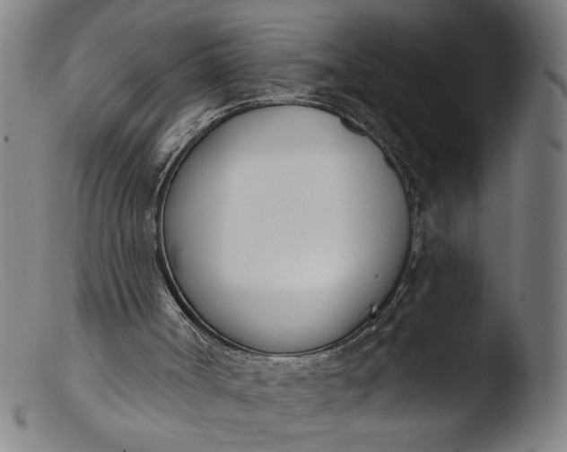 X0000103400002200809261630