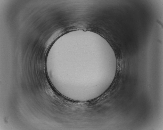 X0000103400004200809261630