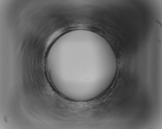 X0000103400006200809261630