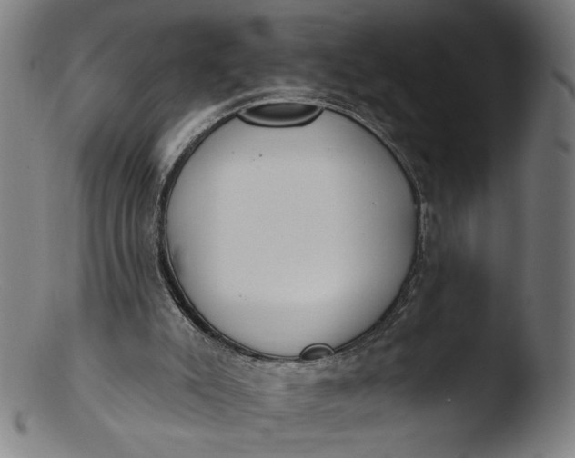 X0000103400007200809261630