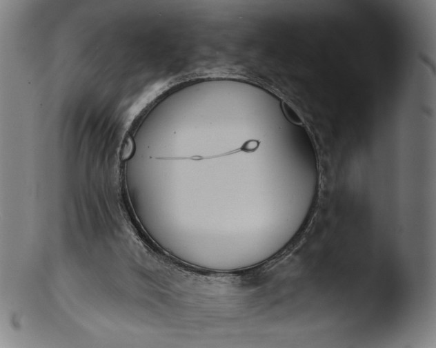 X0000103400008200809261630