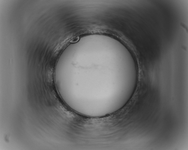 X0000103400009200809261630