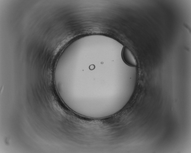 X0000103400012200809261630