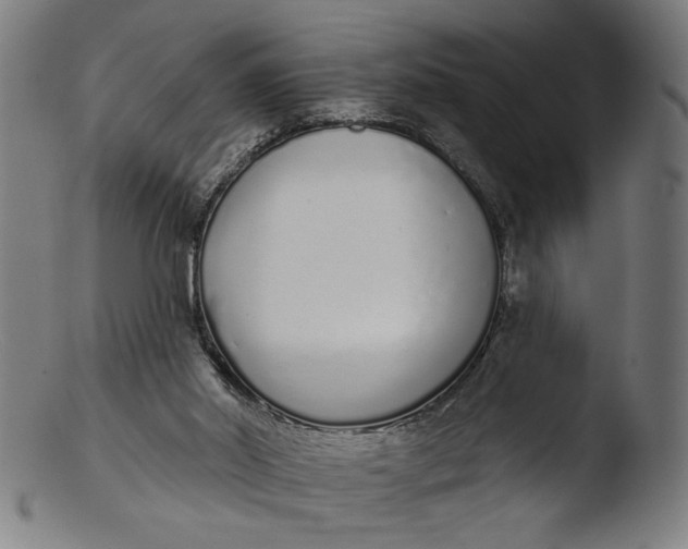 X0000103400014200809261630