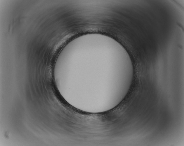 X0000103400016200809261630