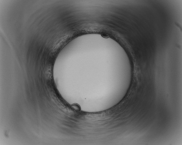 X0000103400017200809261630