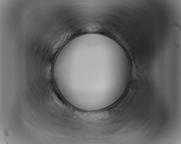 X0000103400018200809261630