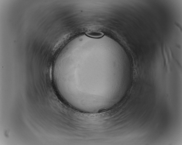 X0000103400019200809261630