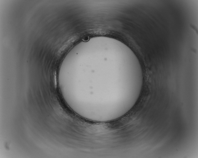 X0000103400020200809261630