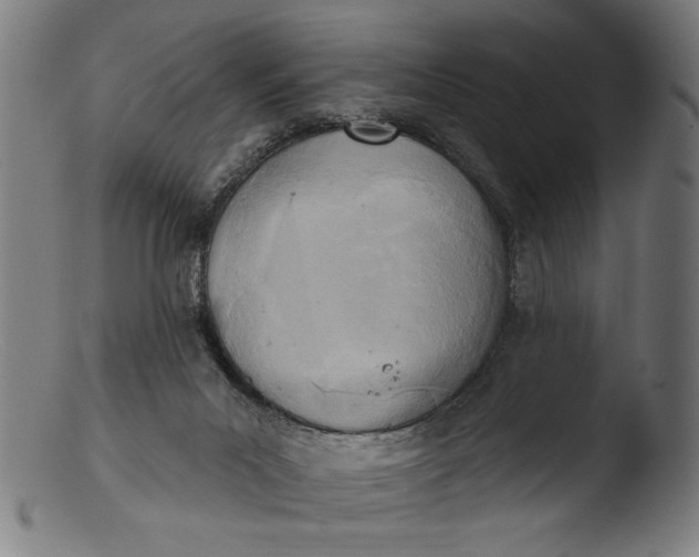 X0000103400023200809261630