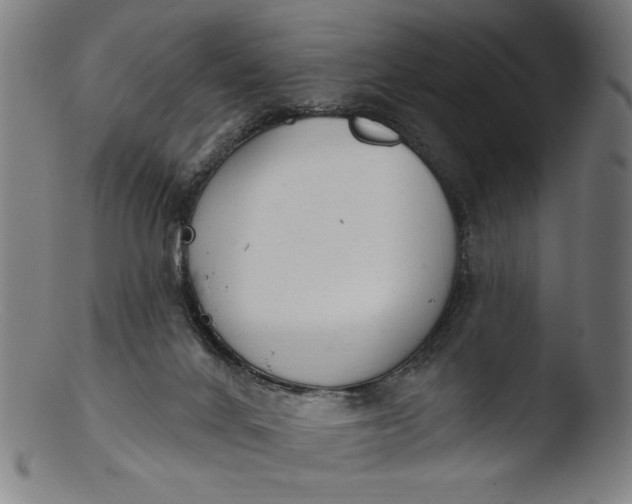 X0000103400024200809261630