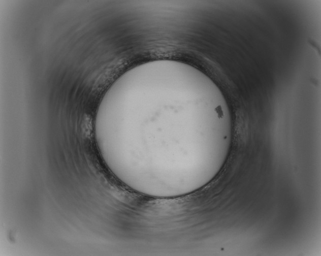 X0000103400025200809261630