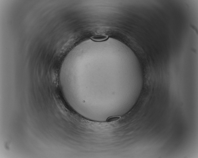 X0000103400031200809261630