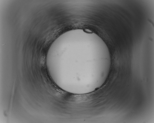 X0000103400033200809261630