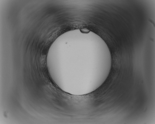 X0000103400034200809261630