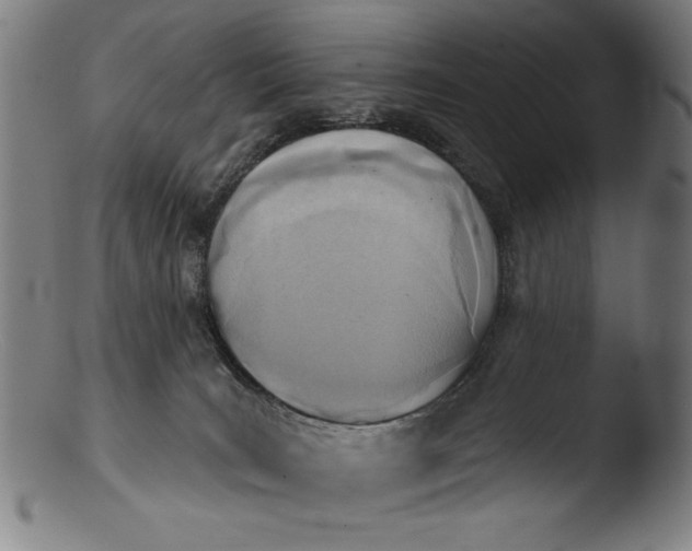 X0000103400035200809261630