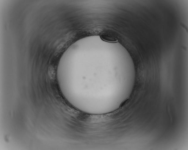 X0000103400037200809261630